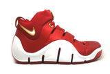 Nike Zoom Lebron 4 China